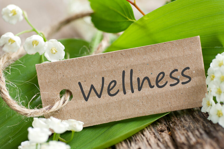 Chickweed Supplements Unveiling the Verdant Tapestry of Wellness