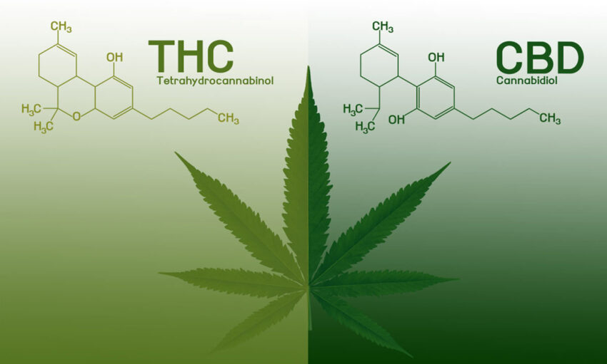 Combining Delta 8, Delta 9, And Delta 10 Thc Why Mix Cannabinoids..