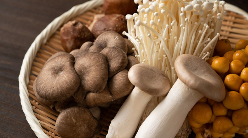 Lion's Mane Functional Mushrooms Unlocking the Cognitive Marvels and Beyond