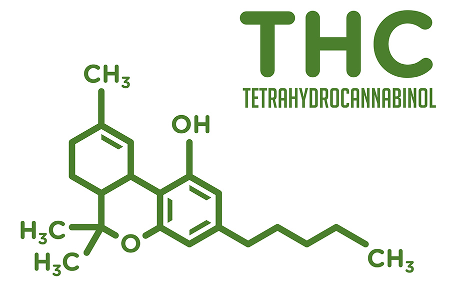 What is Delta-10 THC Learn About Its Effects, Benefits, and More